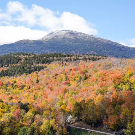 Fall foliage in the foreground leads to a mountain peak in New Hampshire.