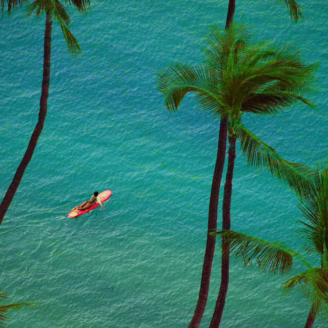 Surfer paddling out to sea