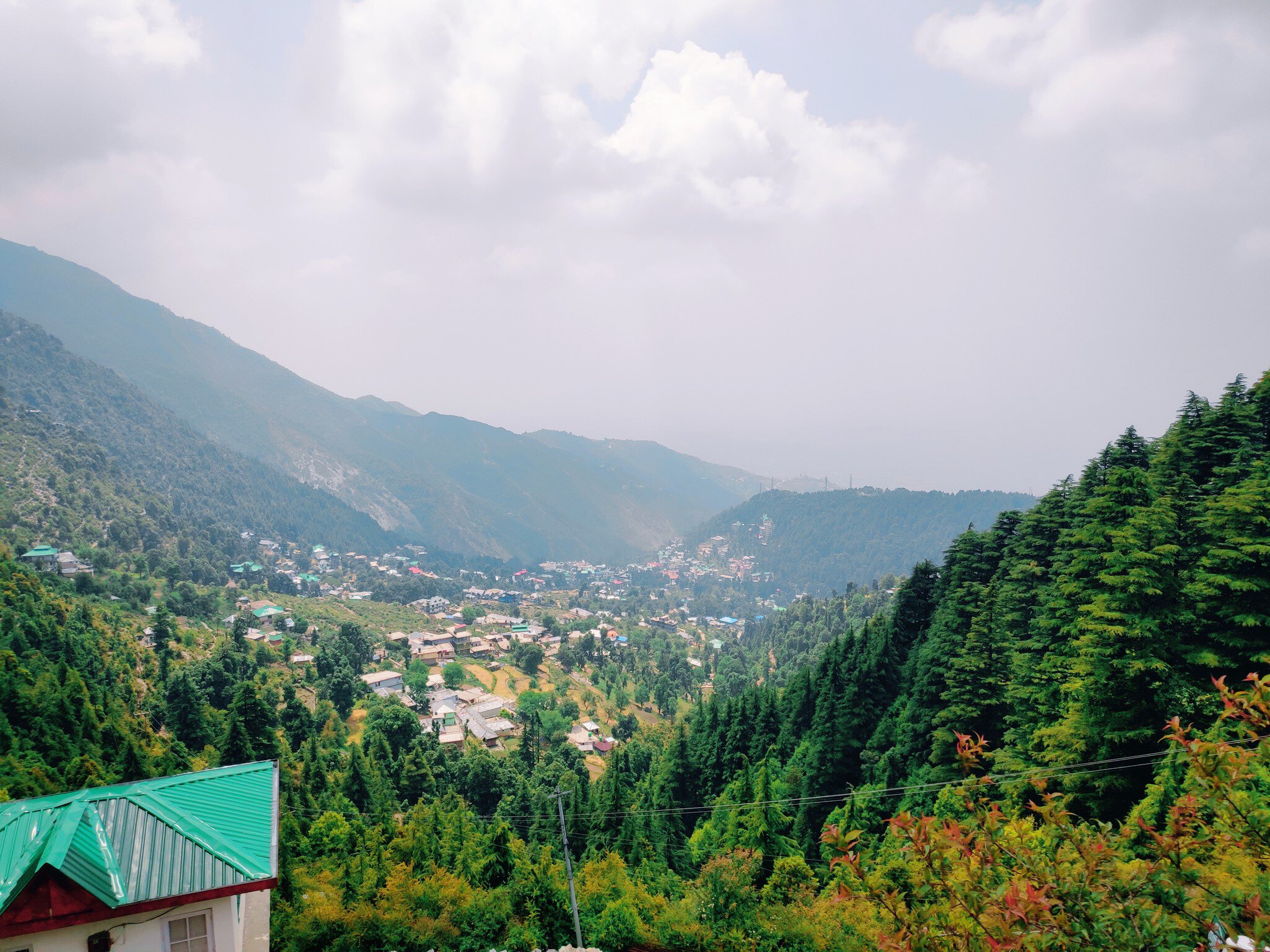 Hill Station, near Mcleodganj, Gallu Devi Temple trail in Himachal Pradesh, India.