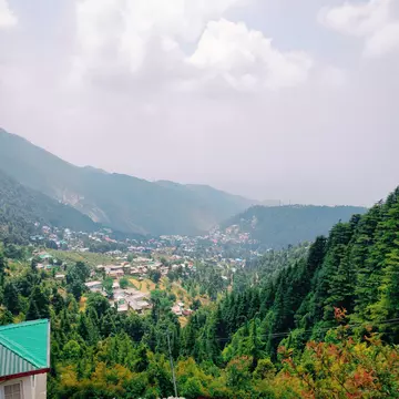 Hill Station, near Mcleodganj, Gallu Devi Temple trail in Himachal Pradesh, India.