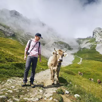 Young man walking with a Swiss cow on a mountain footpath on Mount Pilatus, Lucerne, Switzerland.