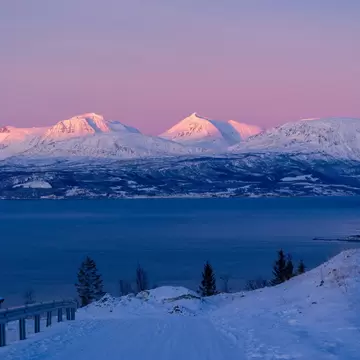 A snowy road leads down toward a dark blue fjord, with snow-capped mountains lit pink under a lavender sky.
