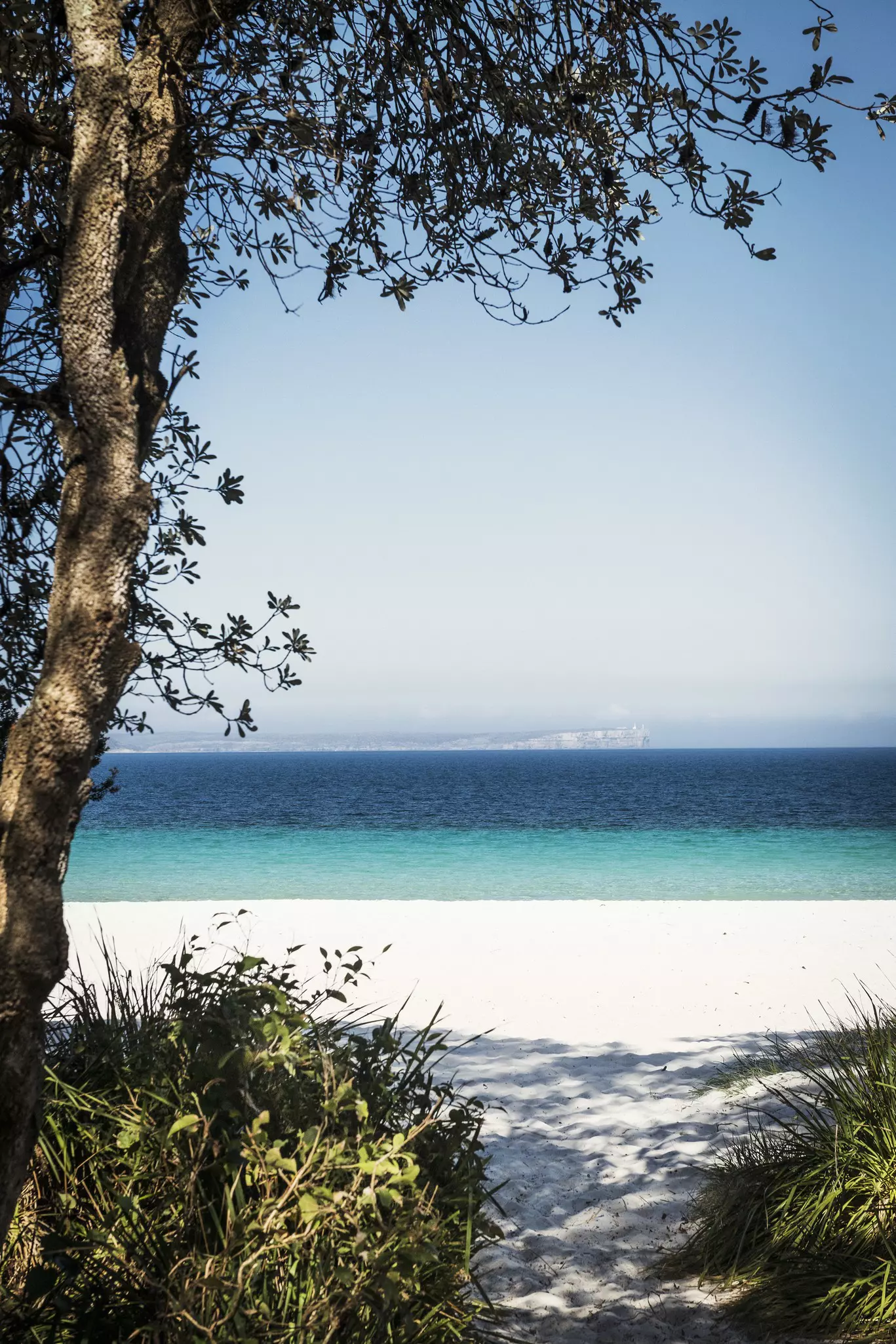 Greenfield Beach in Jervis National Park backed by a forest of gum trees