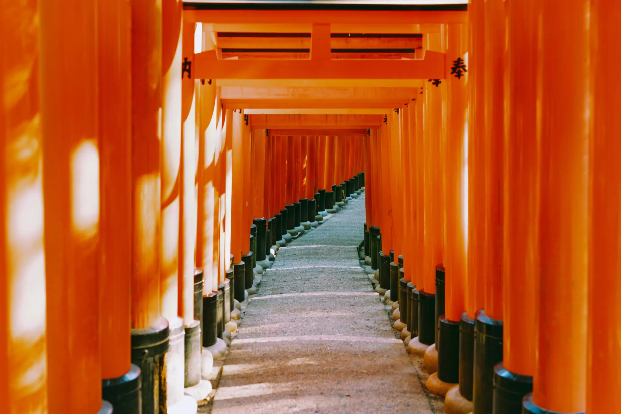 Kyoto, Japan. May 2024. 

Fushimi Inari Taisha, Shinto Shrine. Senbon Torii red gate.