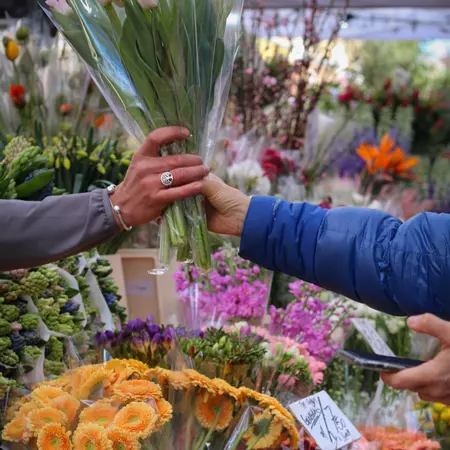 Flowers in Columbia Road Flower Market, London