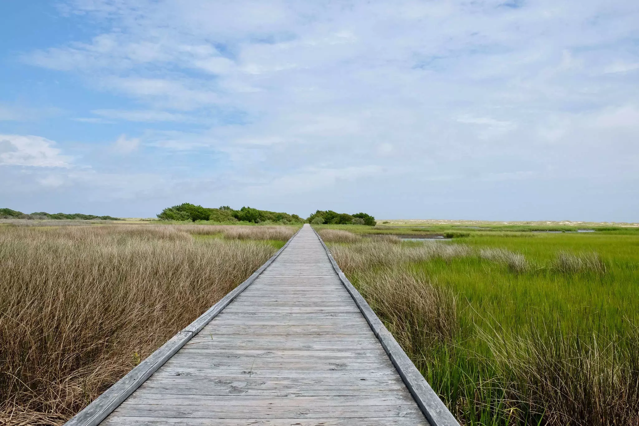 Fort Fisher's mile-long Basin Trail is a stunning coastal hike on wooden platforms across the marsh © JWButler / Shutterstock