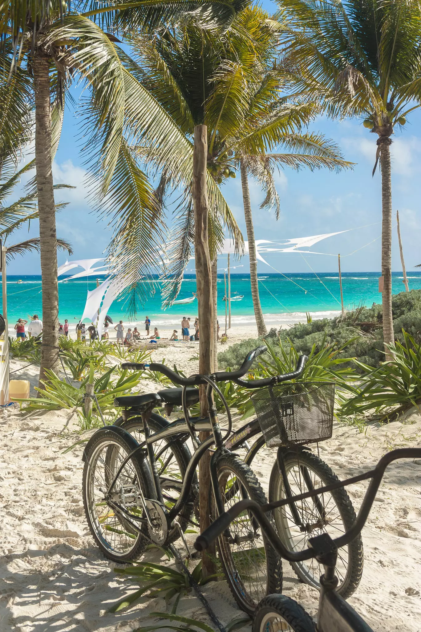 Two black bikes chained together near a sandy beach lapped by turquoise water