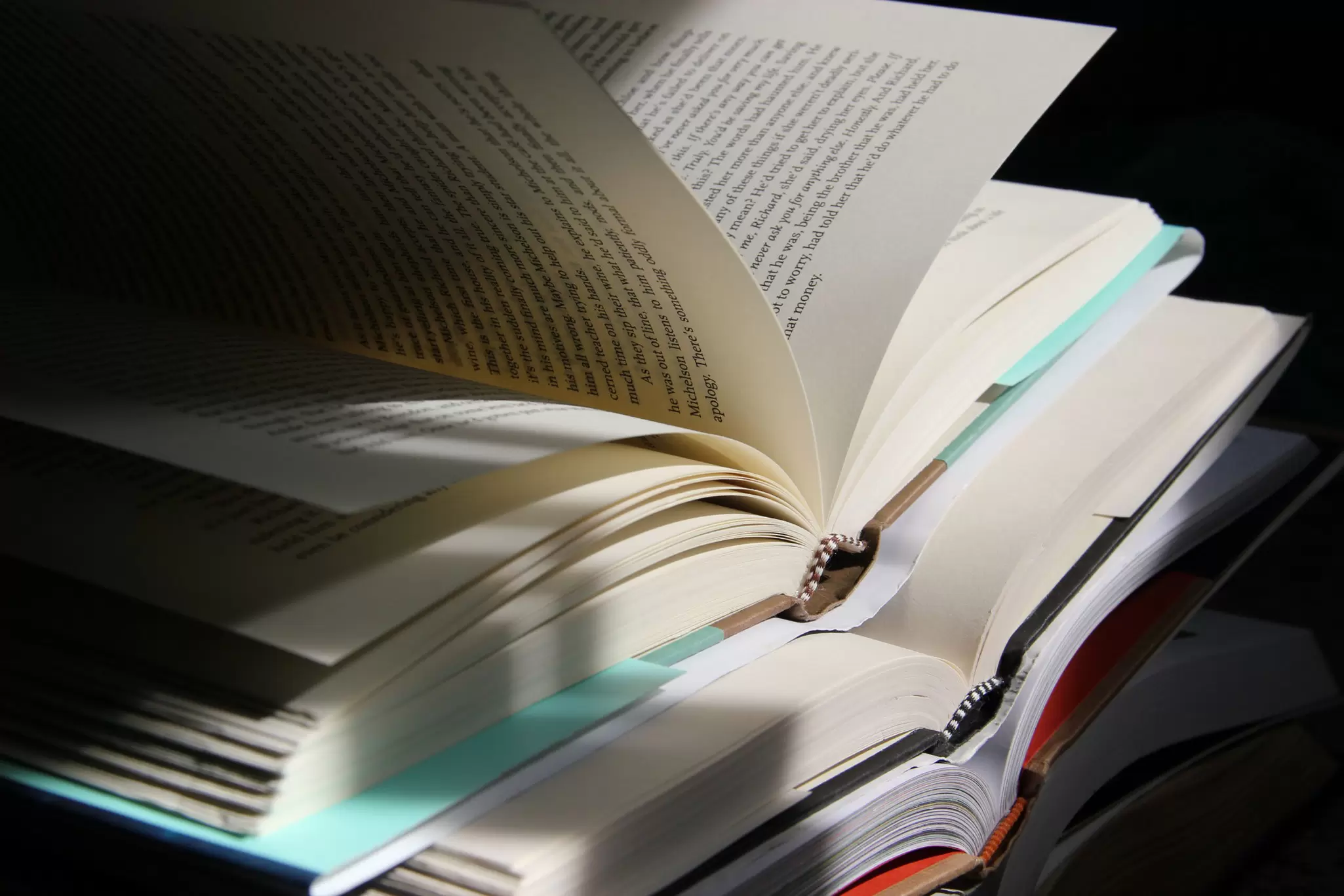 Annual Detroit Festival of Books is worth a visit