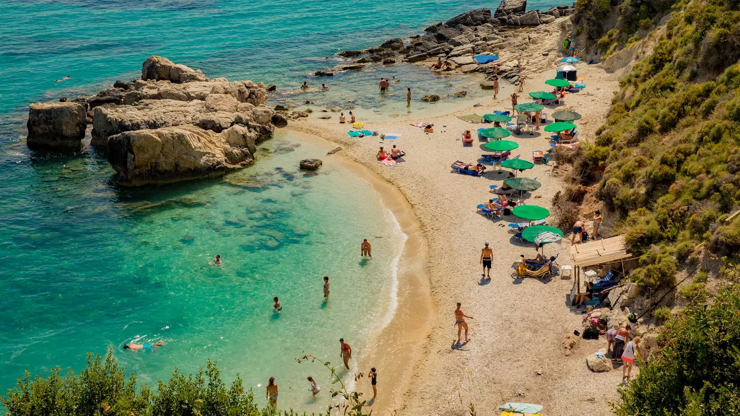 People swim in clear waters that are dotted with green parasols and backed by a forest.