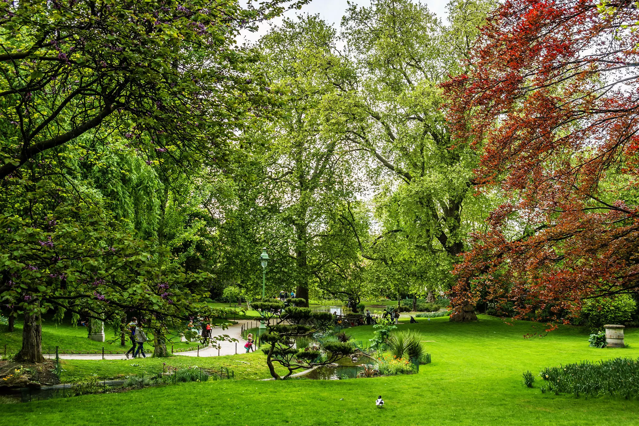 Clichy-Batignolles - Martin Luther King park is a public green area of 6.5 hectares in Paris in the Batignolles district, close Square des Batignolles.