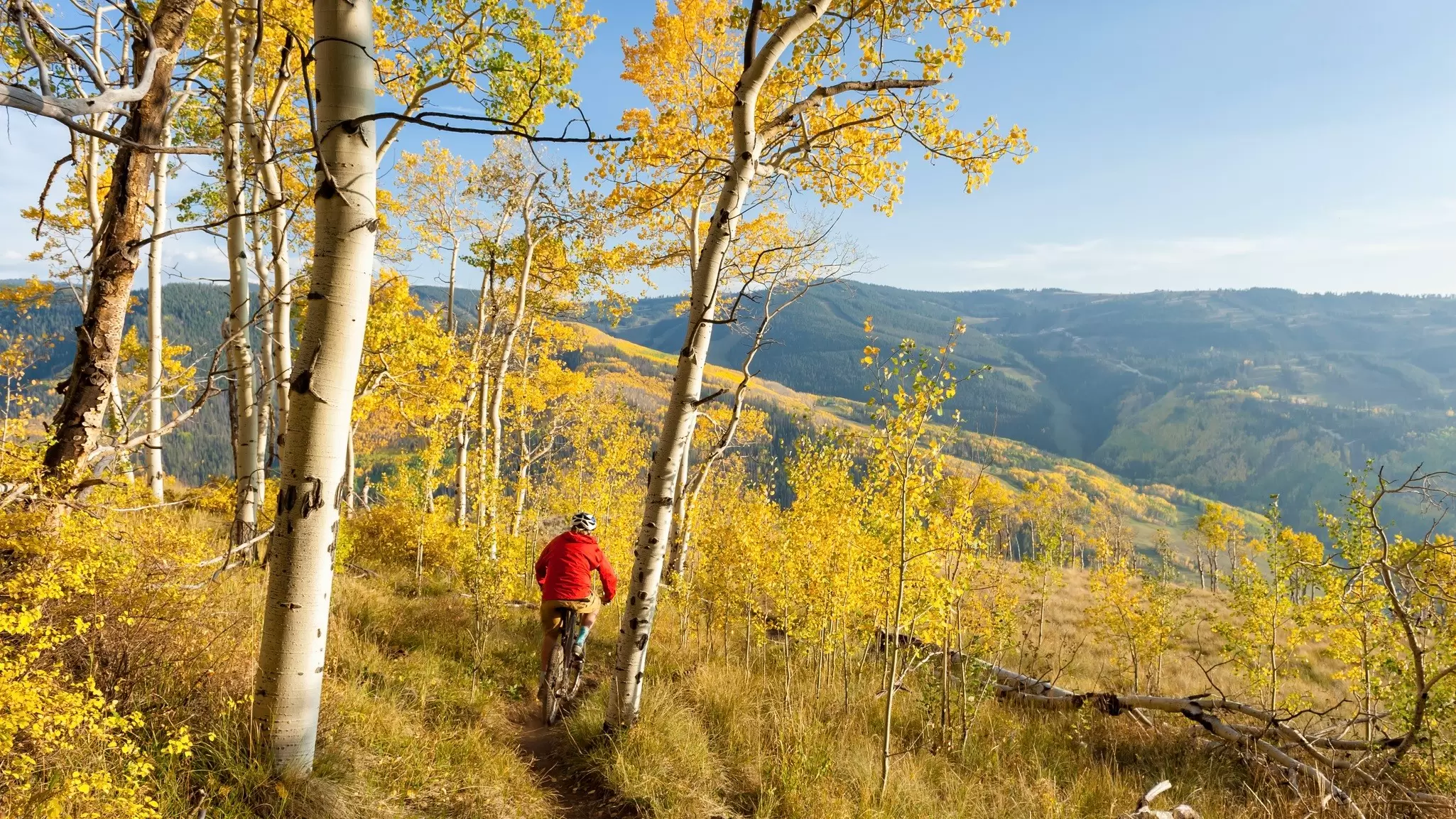 The skiing is epic, it’s true – but outdoor activities take place year-round on Vail’s gorgeous slopes. Getty Images