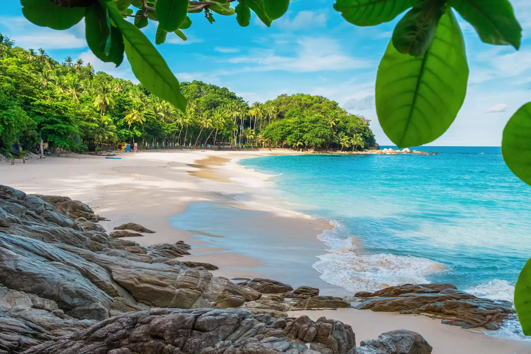 A gorgeous secluded cove backed by palm trees