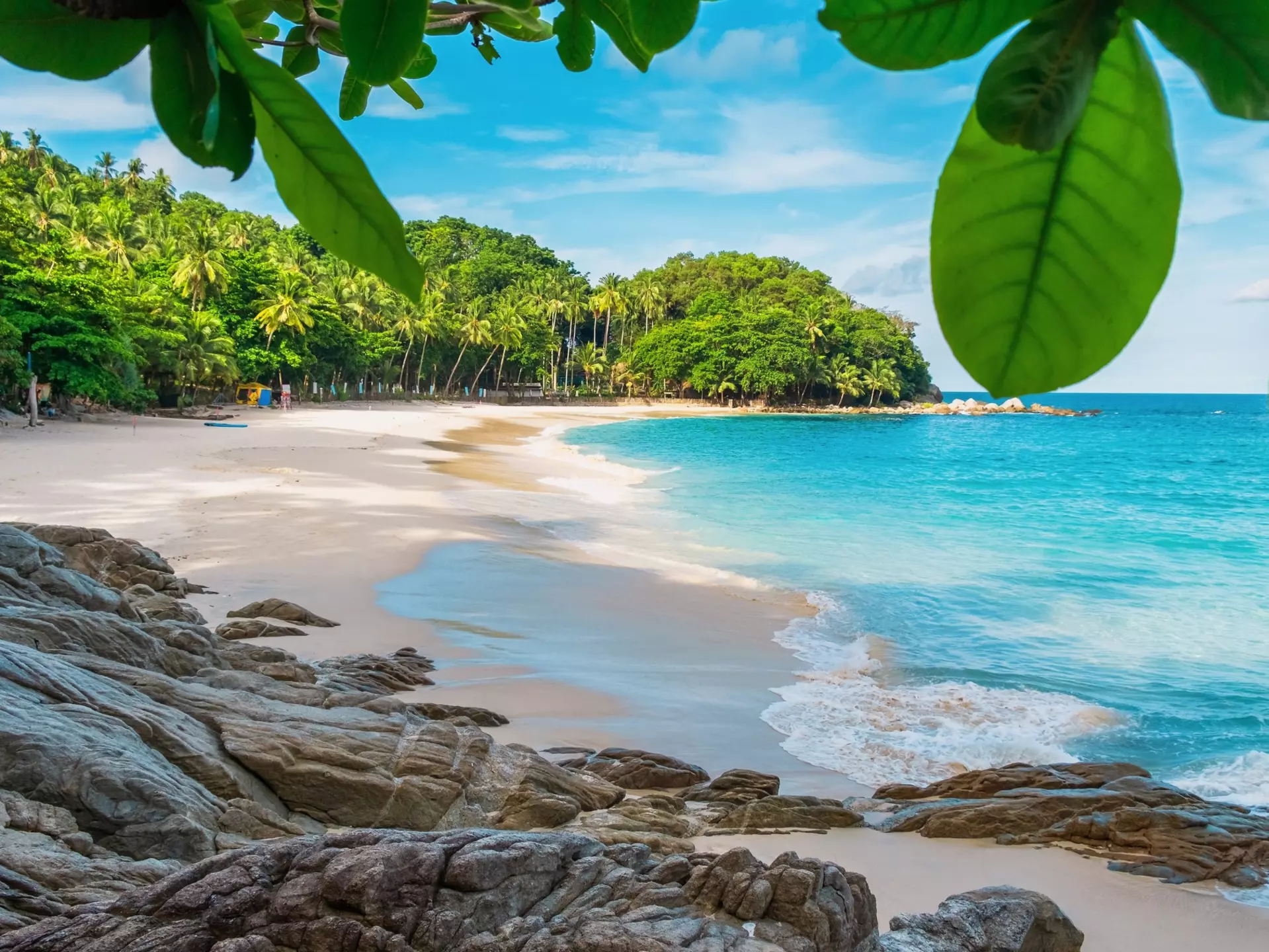 A gorgeous secluded cove backed by palm trees