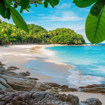 A gorgeous secluded cove backed by palm trees