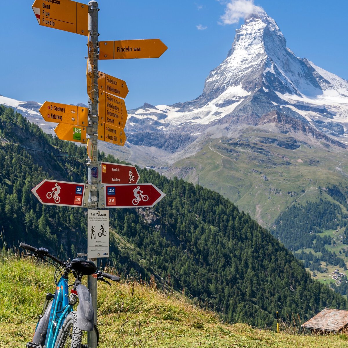 Biking through the Swiss Alps