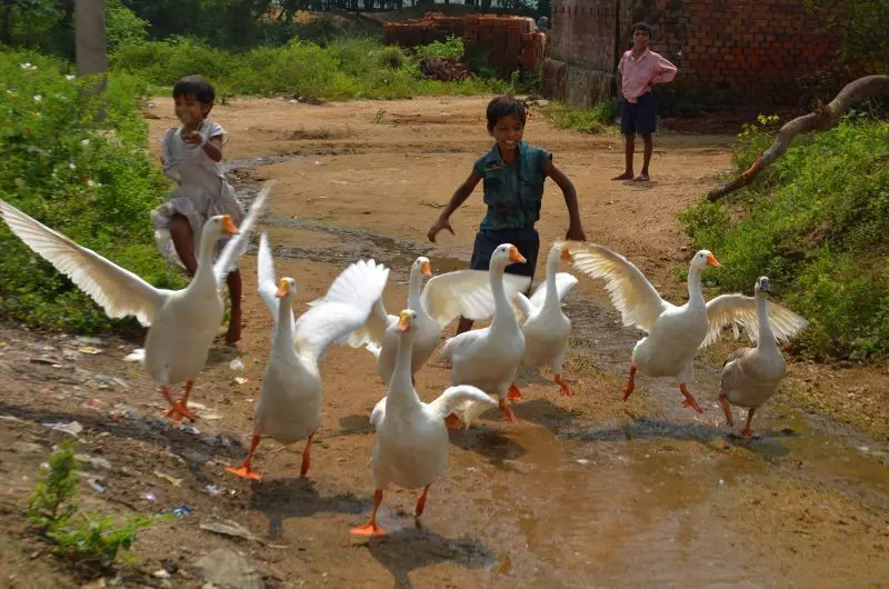 Village scene. ©DEBA PRASAD ROY/Lonely Planet
