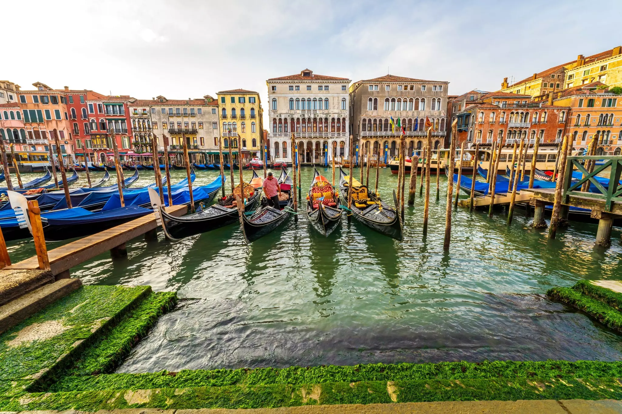 Gondolas line the Grand Canal as a Gondolier prepares his boat for gondola rides. Venice panoramic cityscape with colorful Venetian buildings and decorated gondolas