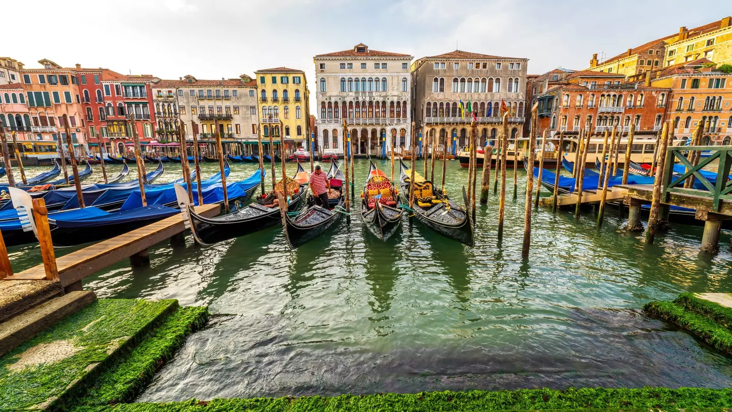 Gondolas line the Grand Canal as a Gondolier prepares his boat for gondola rides. Venice panoramic cityscape with colorful Venetian buildings and decorated gondolas