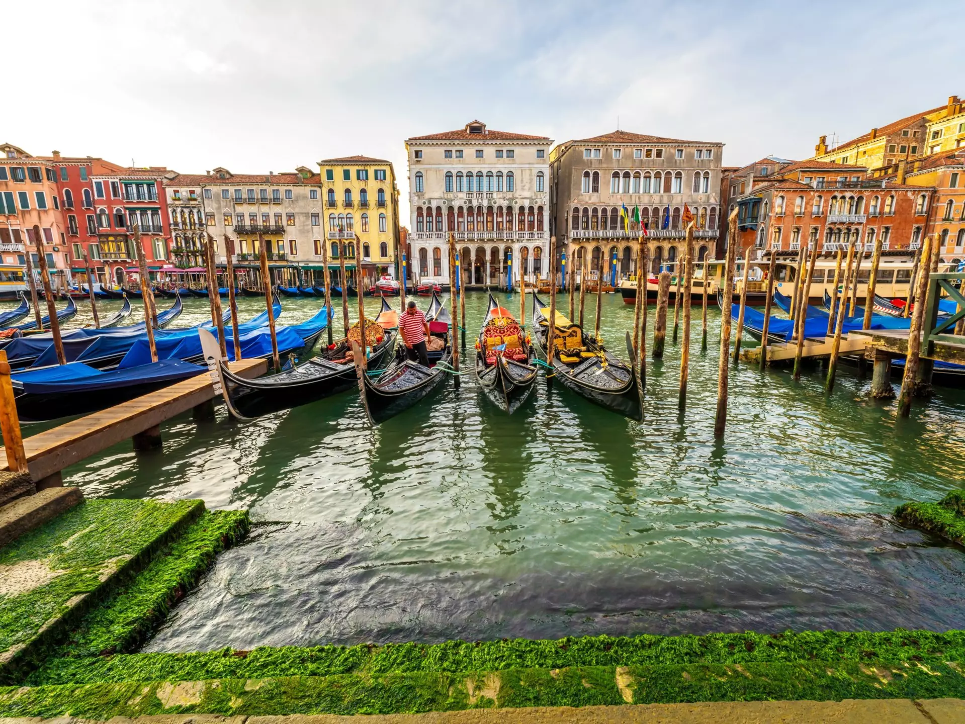 Gondolas line the Grand Canal as a Gondolier prepares his boat for gondola rides. Venice panoramic cityscape with colorful Venetian buildings and decorated gondolas
