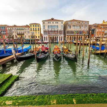 Gondolas line the Grand Canal as a Gondolier prepares his boat for gondola rides. Venice panoramic cityscape with colorful Venetian buildings and decorated gondolas