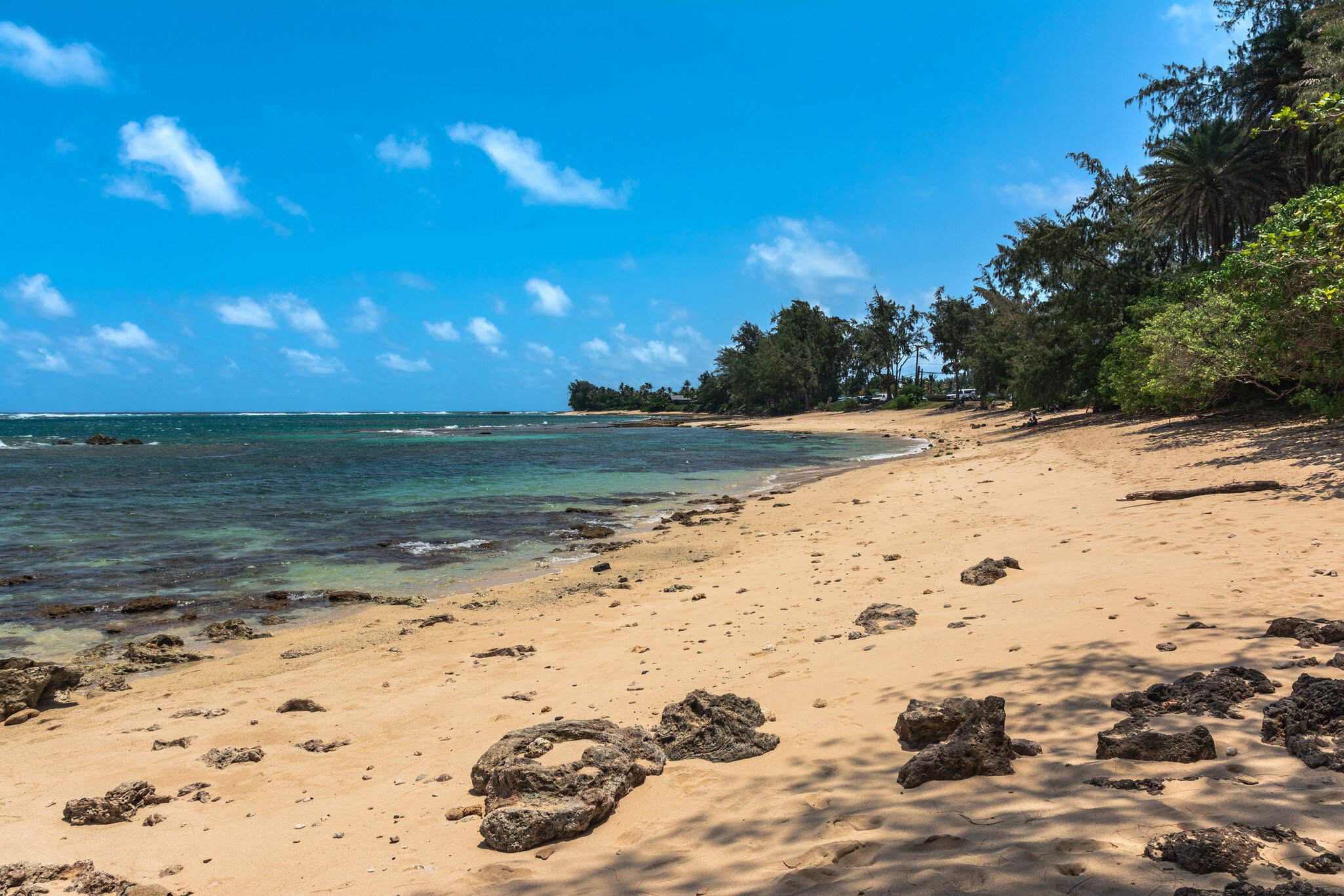 View of the sand coast along Kawela Beach, Oahu, Hawaii
1287634141
sand beach, shoreline, shore, natural, scenic stop, scenic view, lookout, visitors, nature preserve, coast, cove, current, view, scenery, transparency, islet, seaside, north coast,...
