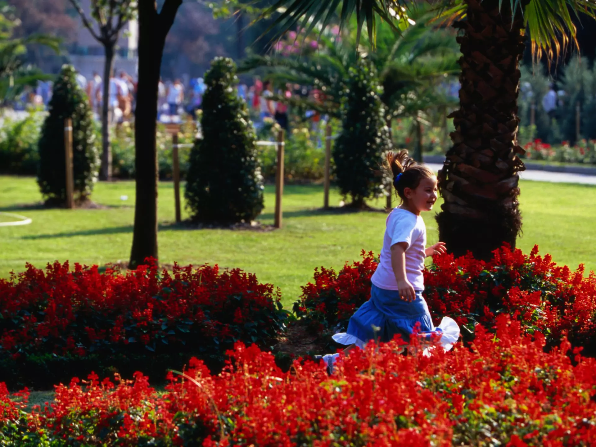 Child in Hippodrome.
20794-16
1 person, Istanbul, Middle East, Turkey, activity, day, female, flora, flower, full length, garden, girl, middle eastern, nature, outdoors, park, people, plant, play, side view, tree, walk
