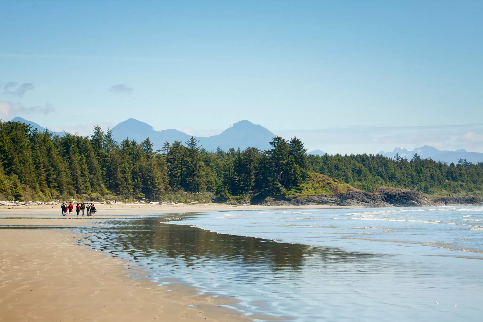 People at the far end of a golden sand beach with mountains beyond evergreen trees.