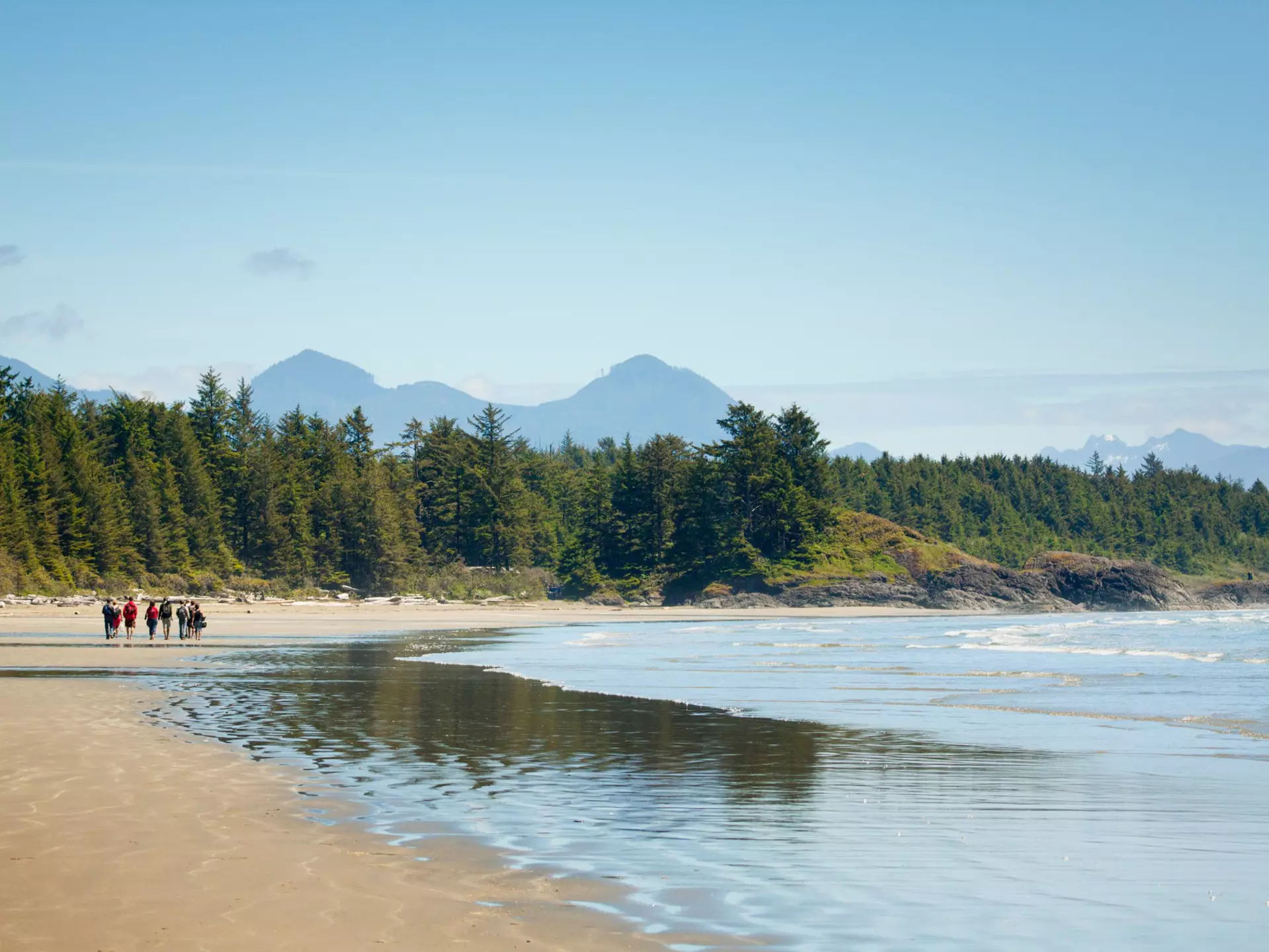 People at the far end of a golden sand beach with mountains beyond evergreen trees.