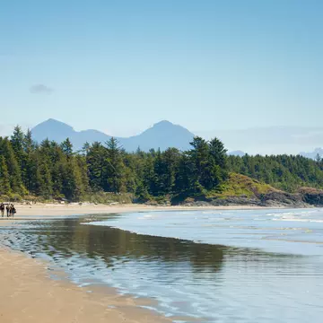 People at the far end of a golden sand beach with mountains beyond evergreen trees.