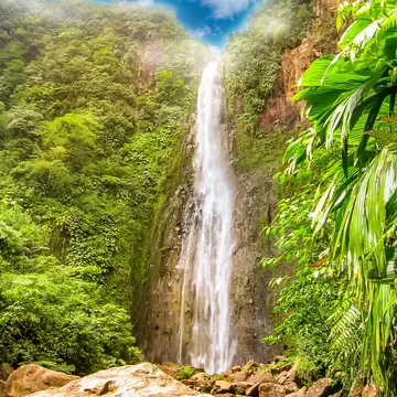 A tall narrow waterfall falling down a dark rock face into a boulder-strewn gorge, dense green rainforest crowding both sides.