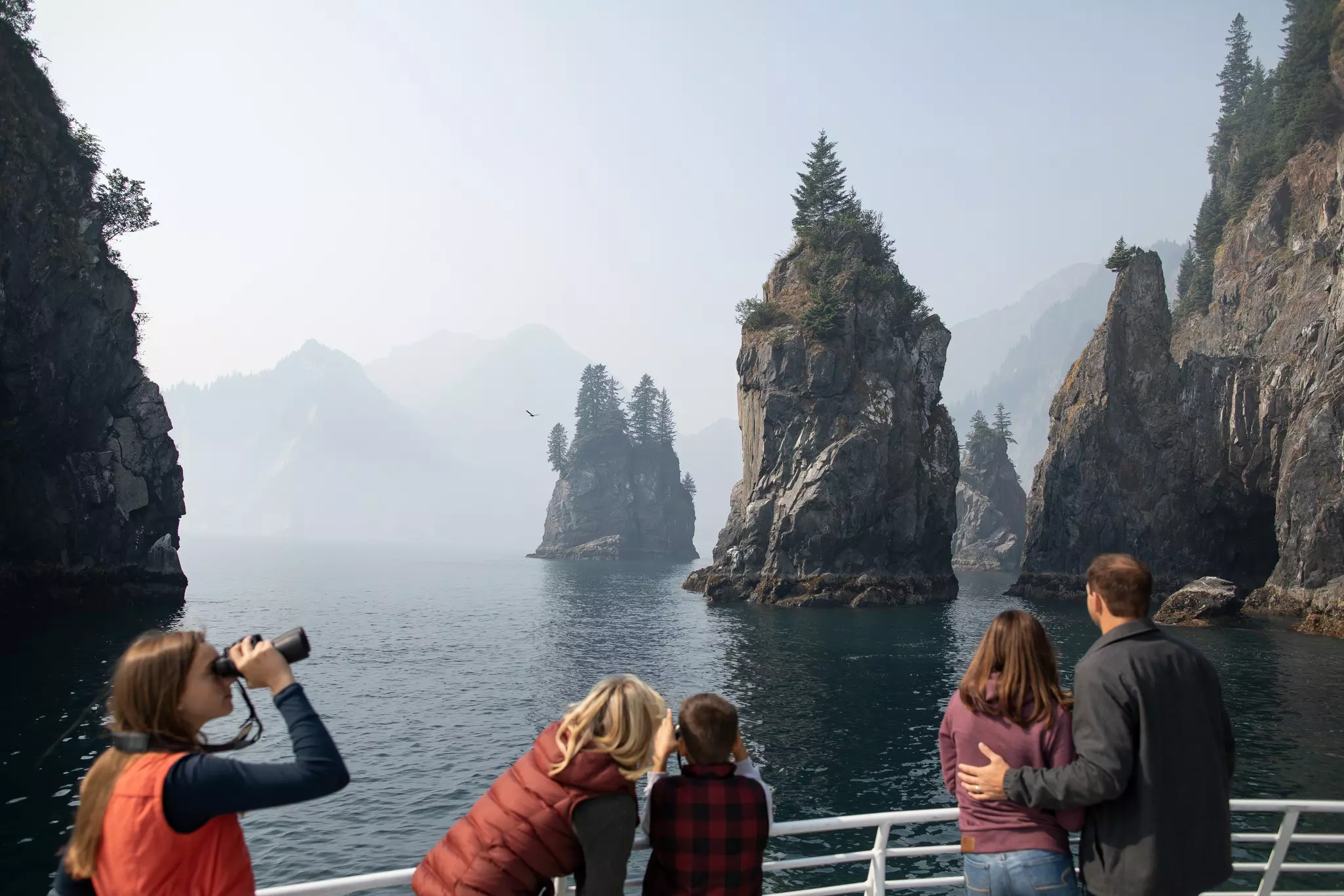 Look out for wildlife among the cliffs of Kenai Fjords National Park © Nathaniel Wilder / Lonely Planet