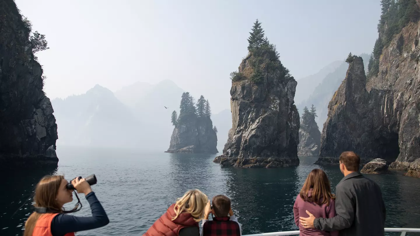Kenai Fjords National Park Tour
Watch of wildlife among the cliffs of Kenai Fjords National Park © Nathaniel Wilder/Lonely Planet