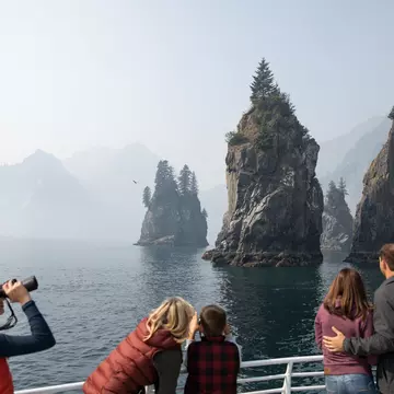 Kenai Fjords National Park Tour
Watch of wildlife among the cliffs of Kenai Fjords National Park © Nathaniel Wilder/Lonely Planet