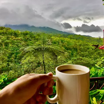 Costa Rican coffee. JoeYinJie/Shutterstock