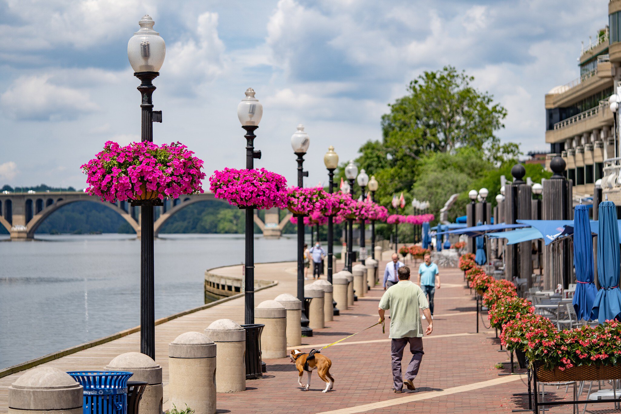 Washington, DC, USA - June, 10, 2021: Georgetown waterfront during the summer season.
1325970904
georgetown, washington, dc, urban, building, historic, capital, buildings, bridge, colorful, america, landscape, american, famous, states, scenery, sc...