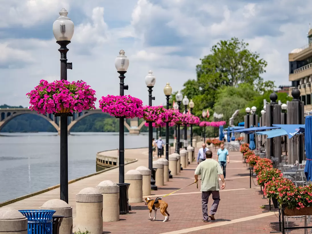 Washington, DC, USA - June, 10, 2021: Georgetown waterfront during the summer season.
1325970904
georgetown, washington, dc, urban, building, historic, capital, buildings, bridge, colorful, america, landscape, american, famous, states, scenery, sc...