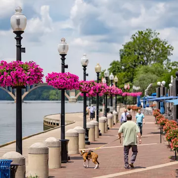 Washington, DC, USA - June, 10, 2021: Georgetown waterfront during the summer season.
1325970904
georgetown, washington, dc, urban, building, historic, capital, buildings, bridge, colorful, america, landscape, american, famous, states, scenery, sc...