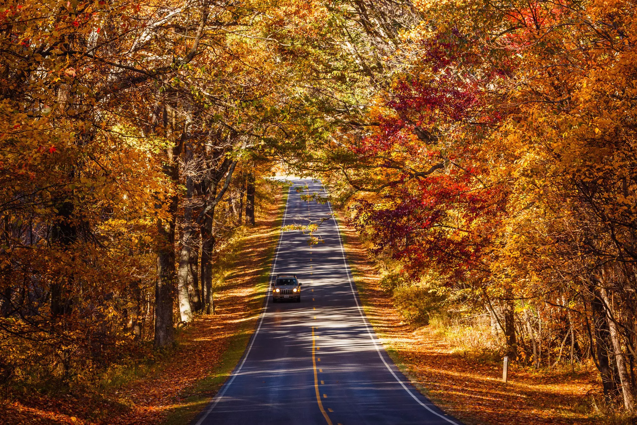 A single car driving forward on a two-lane road surrounded by autumnal-colored trees. Sun shines through the trees' canopy onto the roadway.