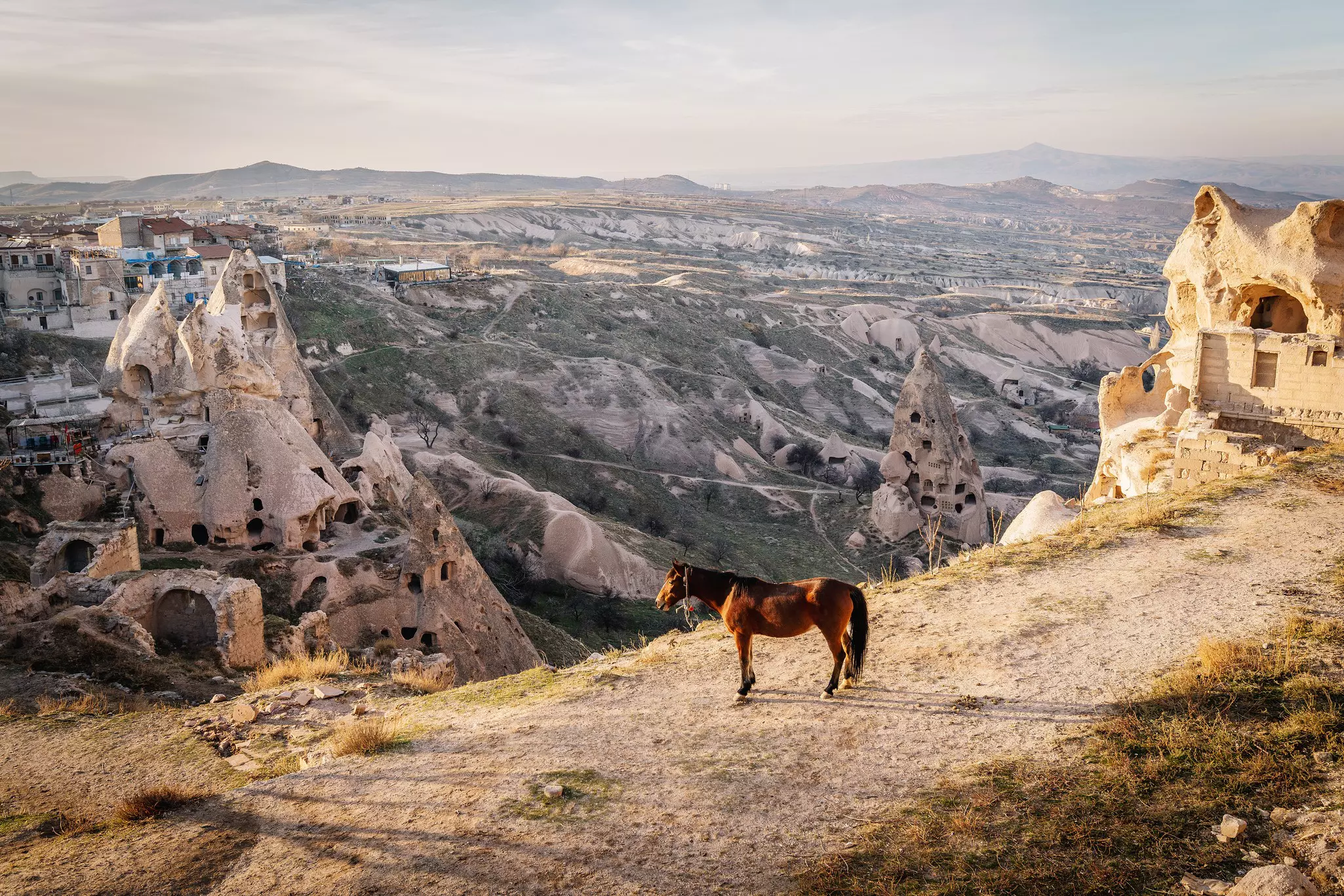 A horse stands on a sandy path above a landscape with many unusual chimney-like rock formations each with windows.