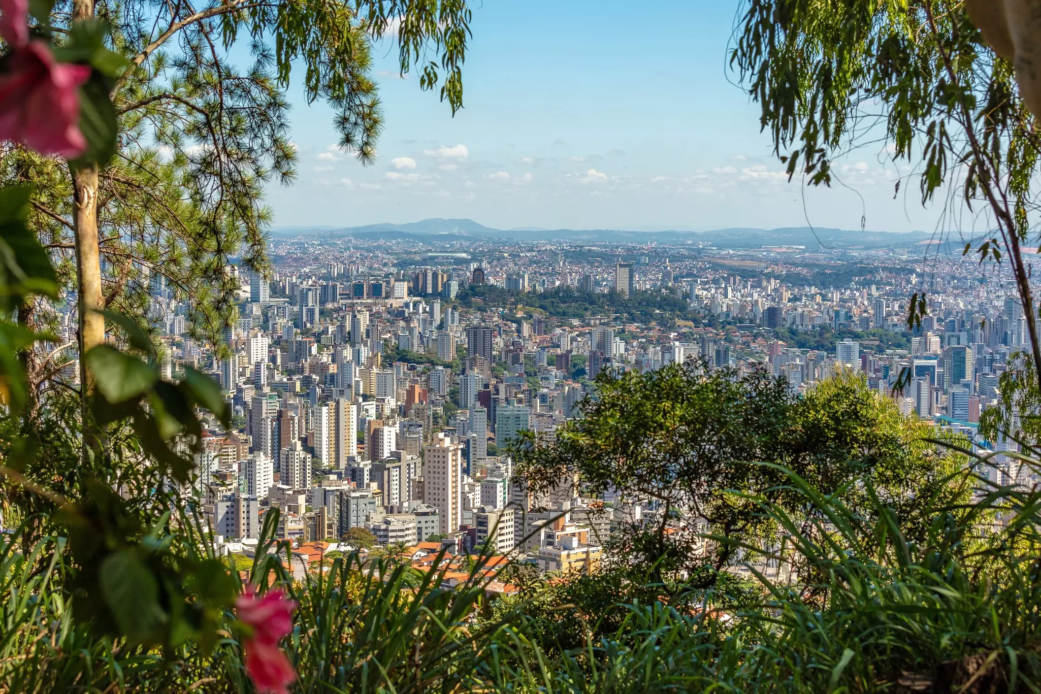 A sprawling city is visible through greenery on a mountaintop