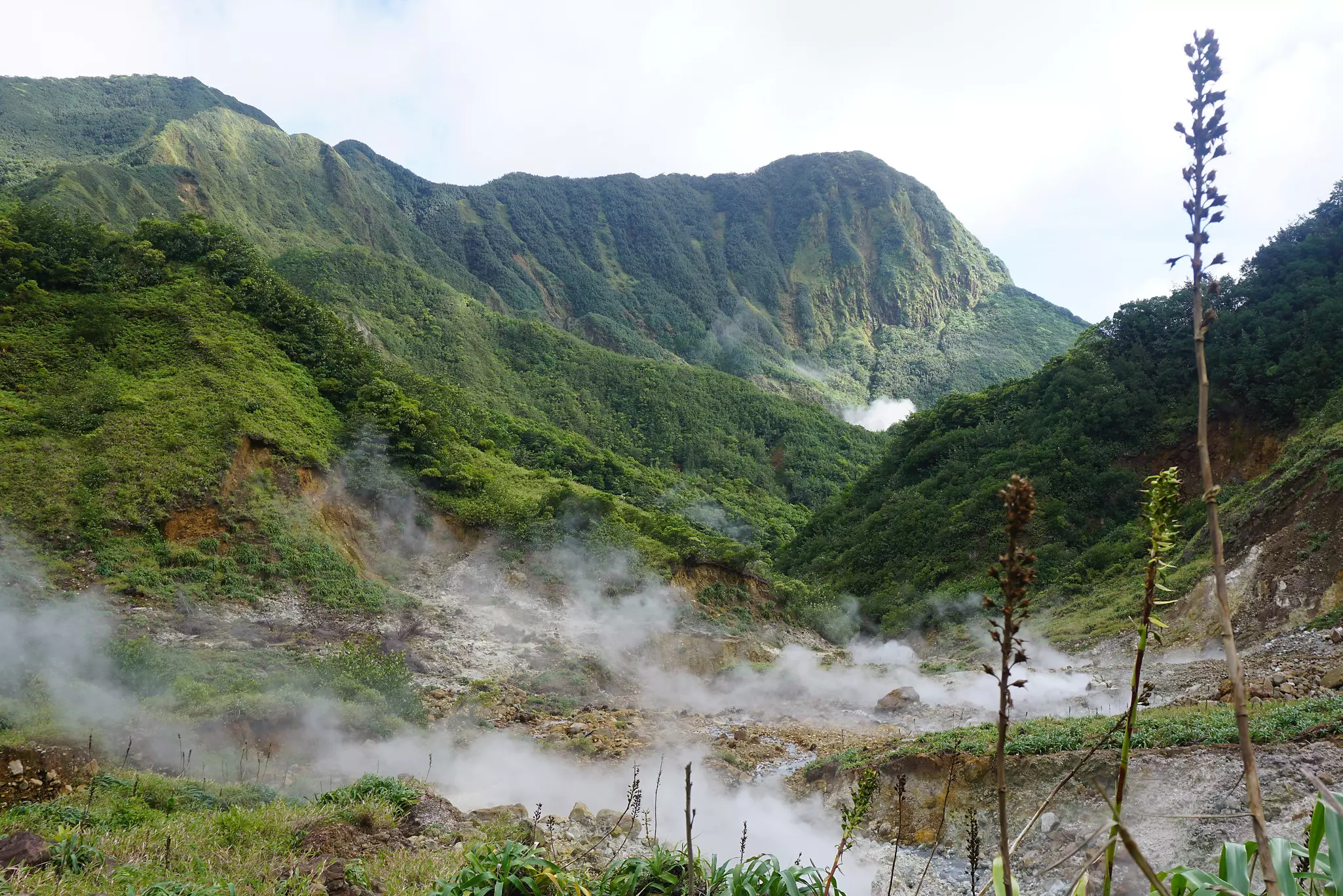 Scenic green landscape of the volanic island of dominica in the caribbian antilles