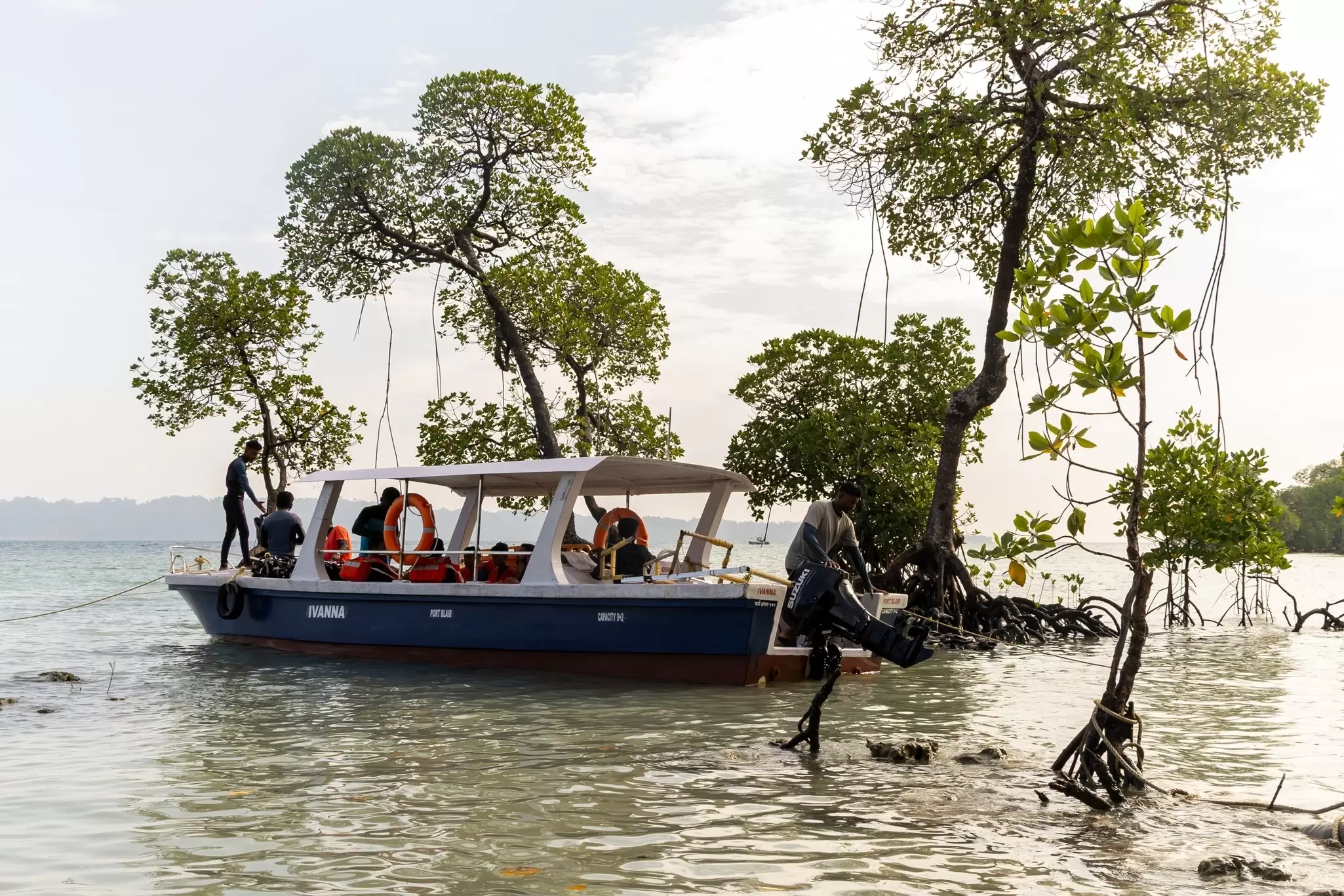 A small passenger boat is moored by mangroves growing off a tropical island.
