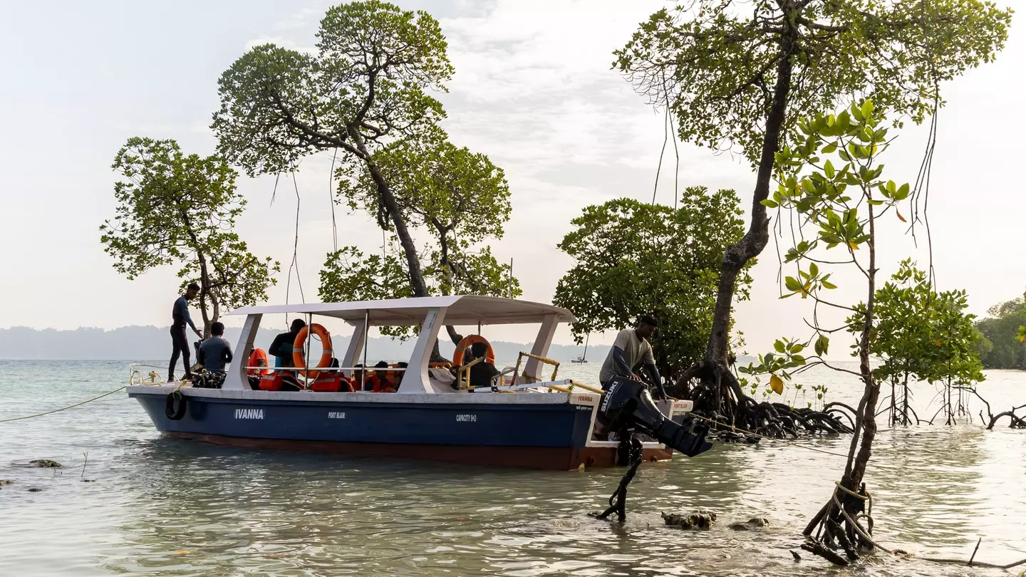 A small passenger boat is moored by mangroves growing off a tropical island.