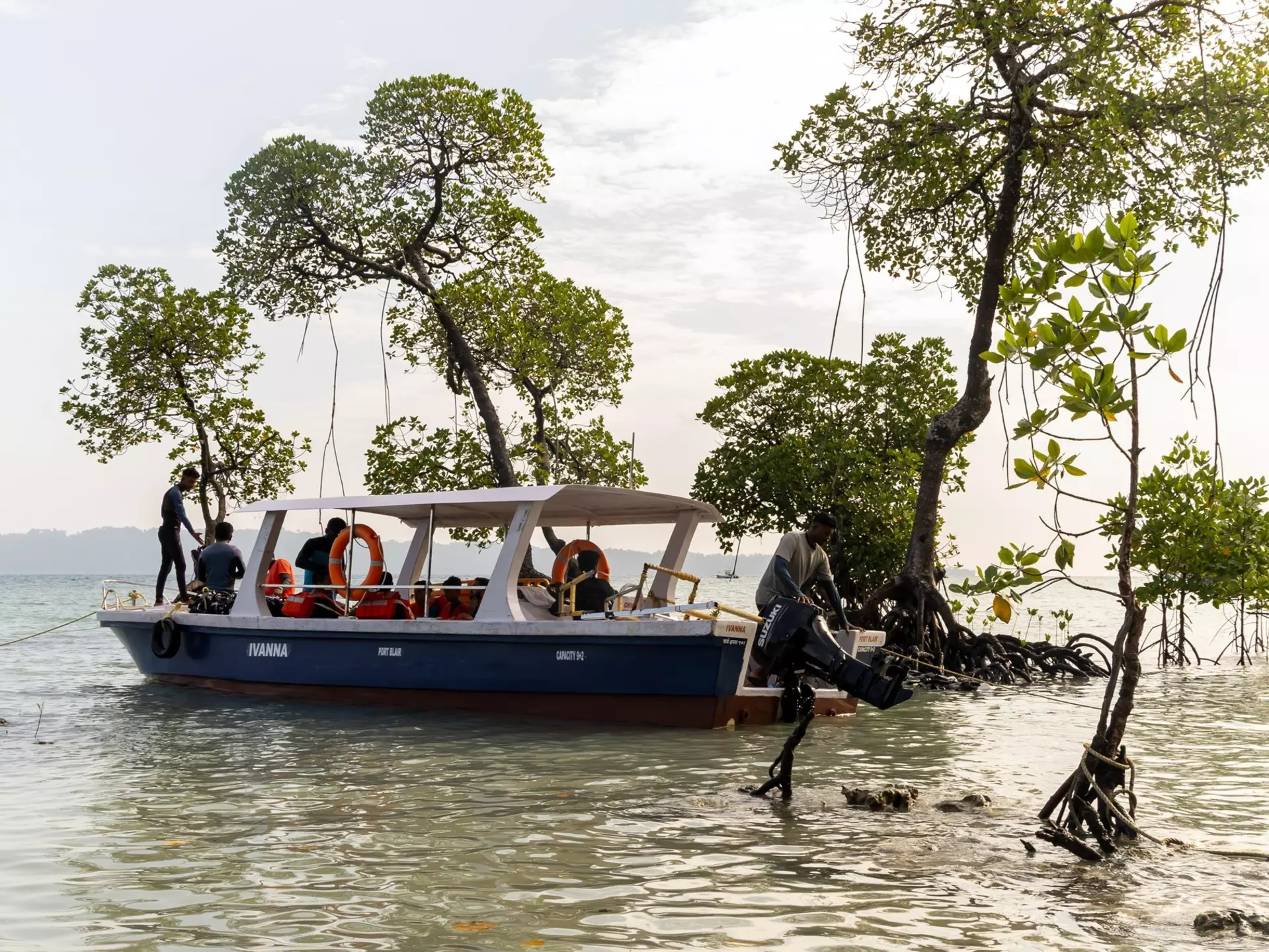 A small passenger boat is moored by mangroves growing off a tropical island.