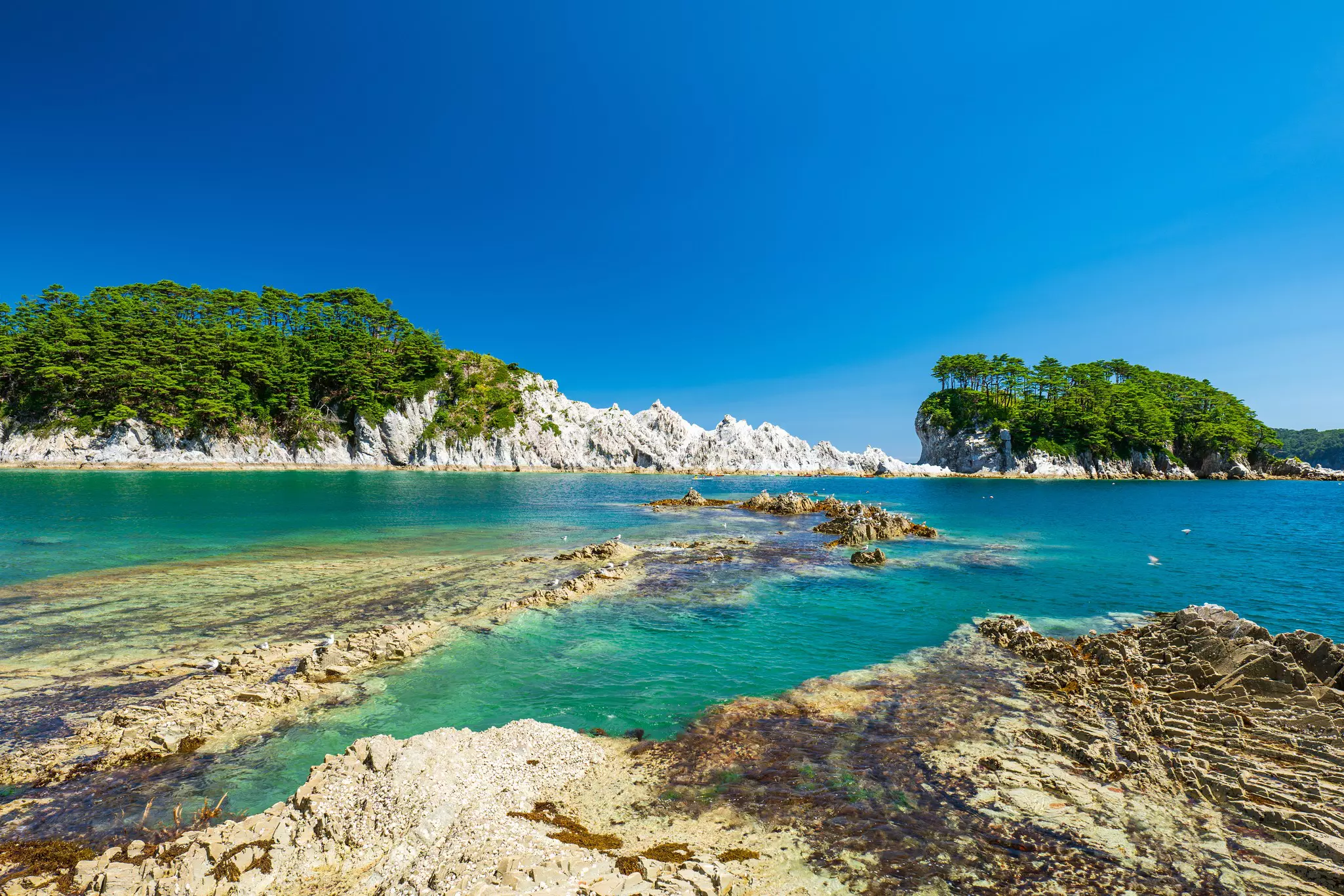 A view of 'Jodogahama' in summer. 'Jodogahama is located in Iwate Prefecture, Japan. Blue waters and rocky coastline.