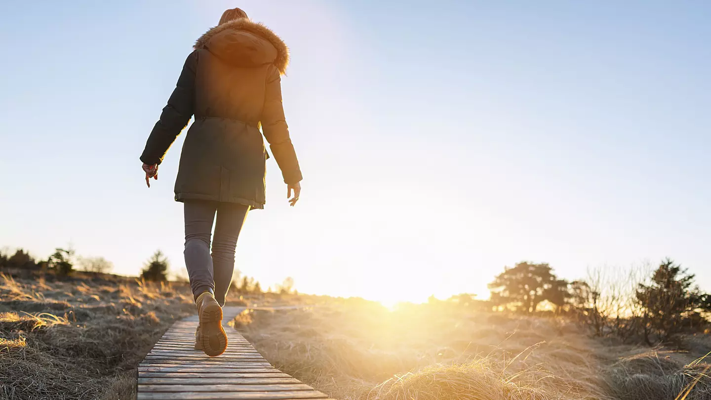 A person walks across a boardwalk through the moors and and bogs of High Fens in Belgium