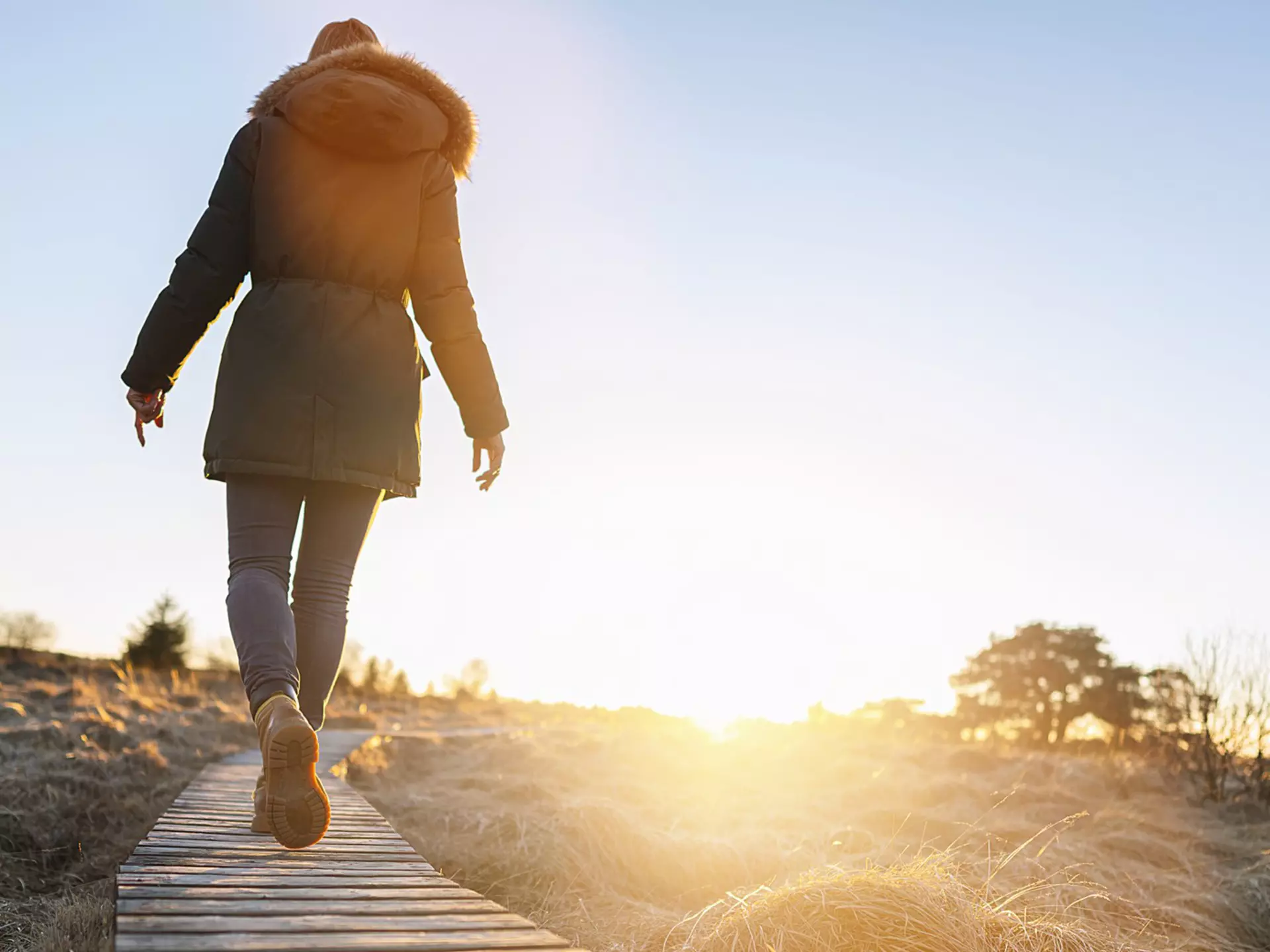 A person walks across a boardwalk through the moors and and bogs of High Fens in Belgium