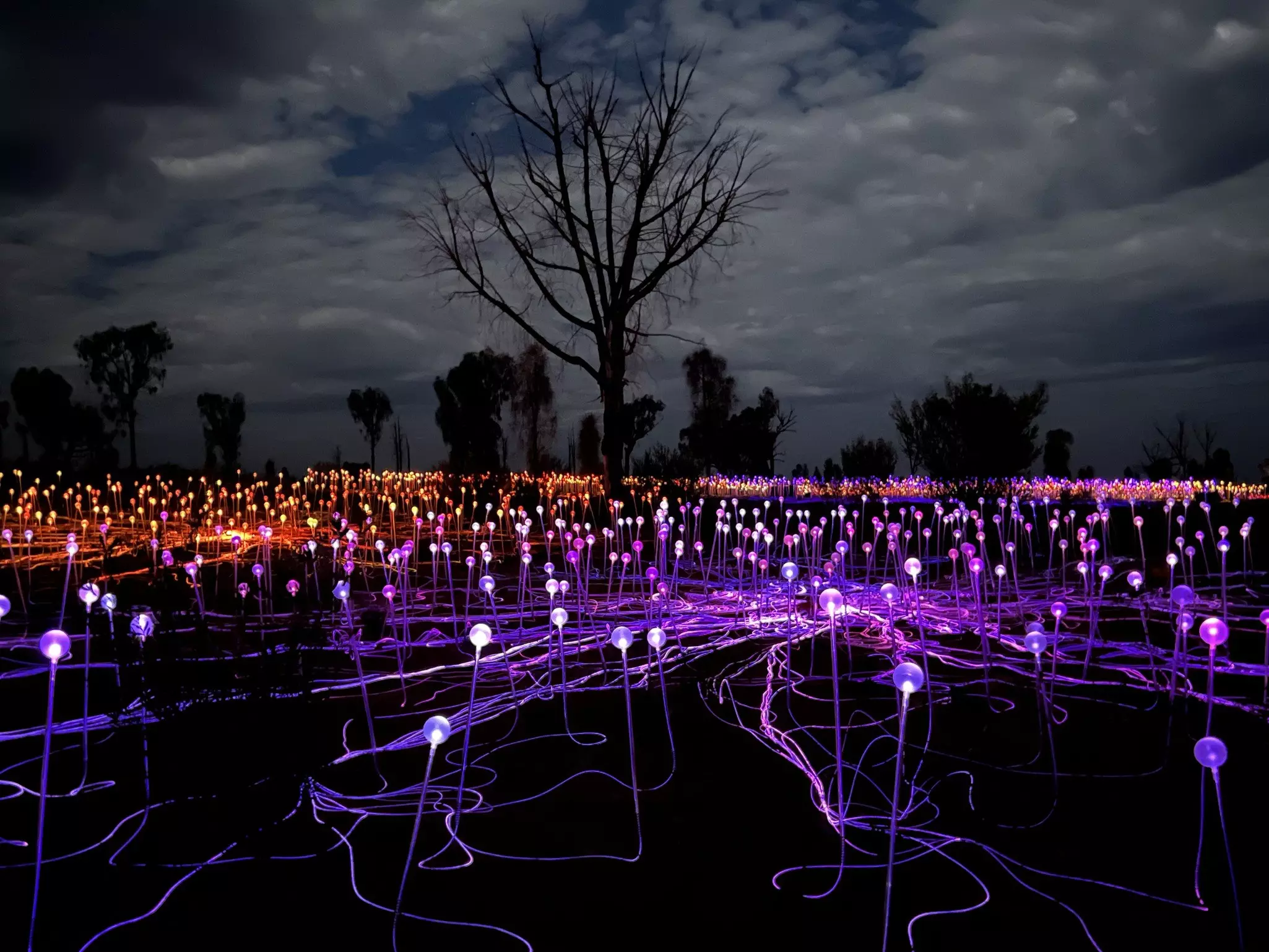 ULURU, NORTHERN TERRITORY, AUSTRALIA. OCTOBER 2024.
Bruce Munro's Field of Light just outside Uluru-Kata Tjuta National Park.