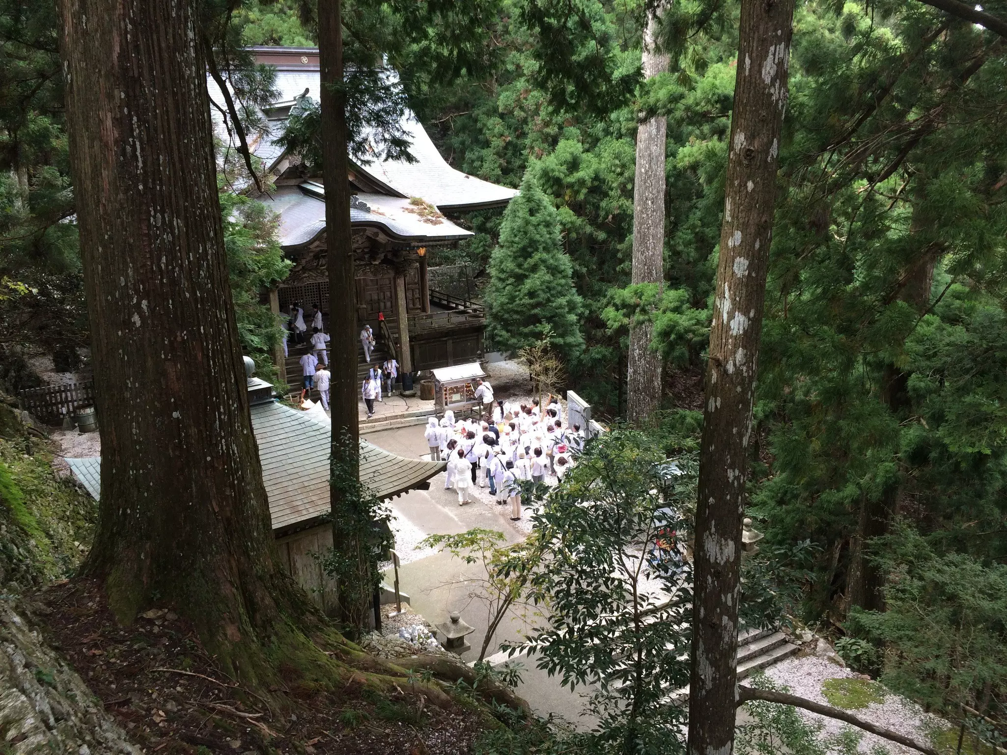 Temple 21 (Tairyū-ji) on the 88 Sacred Temples of Shikoku Pilgrimage, with trees all around the mountain-top