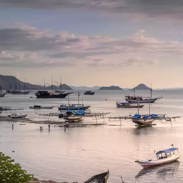 Boats in a harbor in Indonesia in violet light; islands are on the horizon.